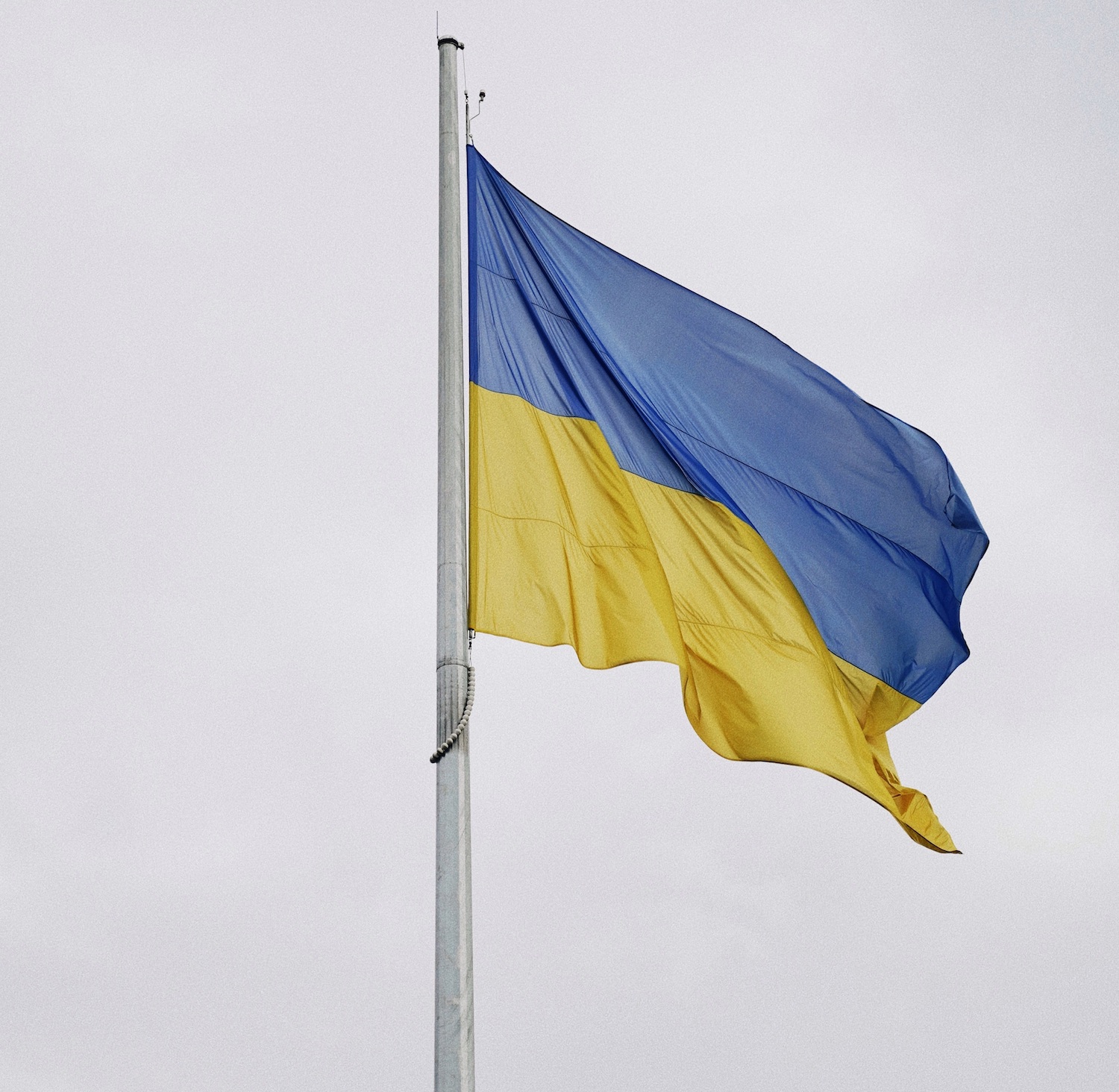 You are currently viewing Tłumaczenie dokumentów ukraińskich – jak uzyskać nr PESEL?